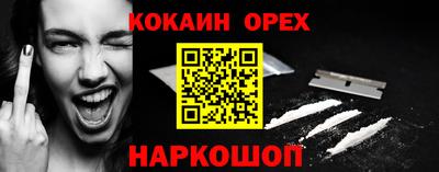 спиды Гатчина