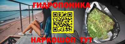 спиды Гатчина