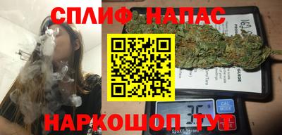 молекула духа Гагарин