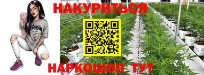 спиды Гатчина