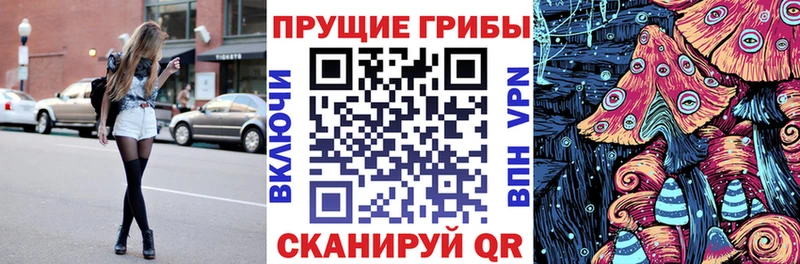 закладки  Каменск-Уральский  Псилоцибиновые грибы Magic Shrooms 