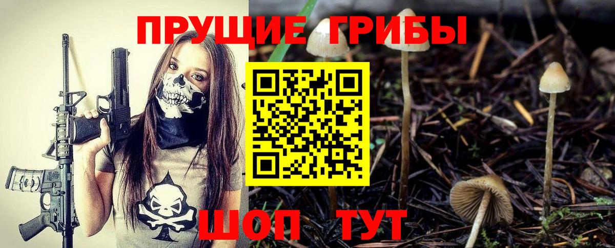 Галлюциногенные грибы Psilocybe  Вход с VPN  где найти   Каменск-Уральский  Псилоцибиновые грибы Magic Shrooms 